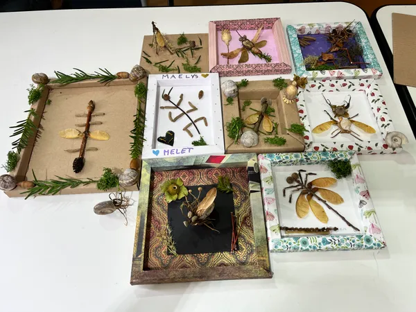 Atelier cabinet de curiosités