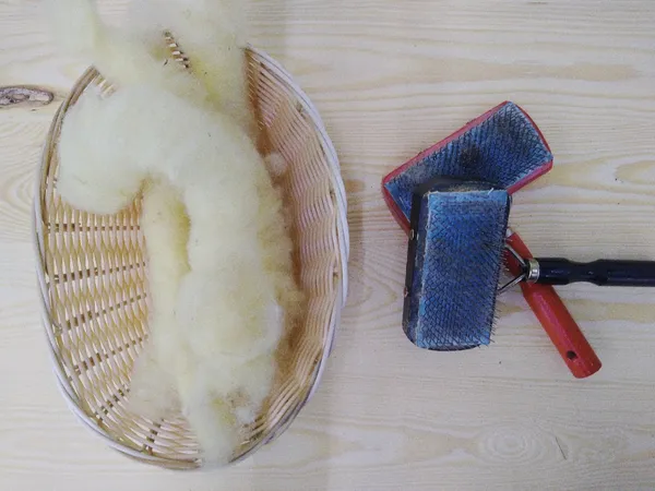 Atelier Enfant la semaine de la laine