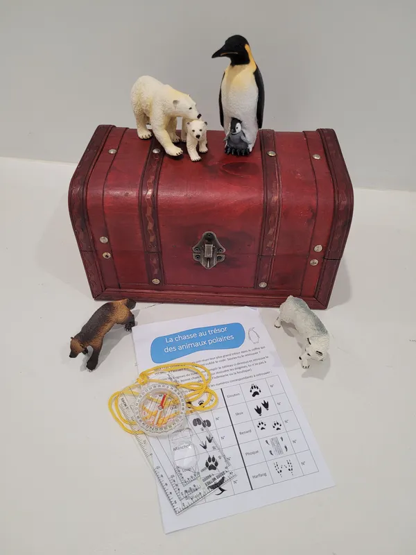 Chasse au trésor des animaux polaires