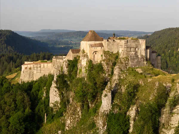 Conférence - Rencontre avec... « Chauves-souris et patrimoine : les habitantes secrètes du Château de Joux »