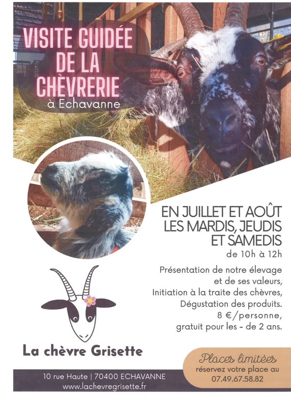Visites guidées à la chèvrerie "La Chèvre Grisette".