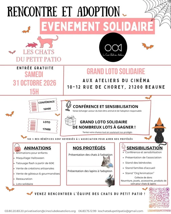 Evenement solidaire Les Chats du Petit Patio