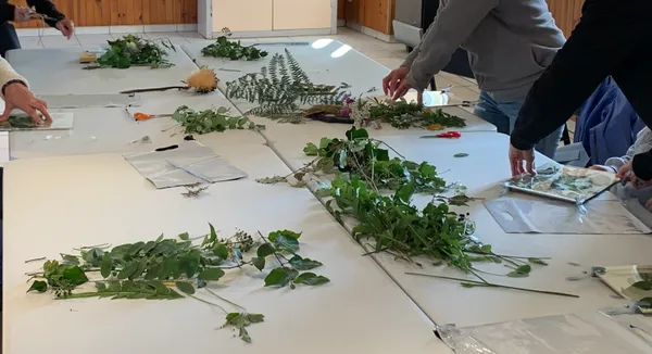 Atelier Nature : Herbier cyanotype sur tissu