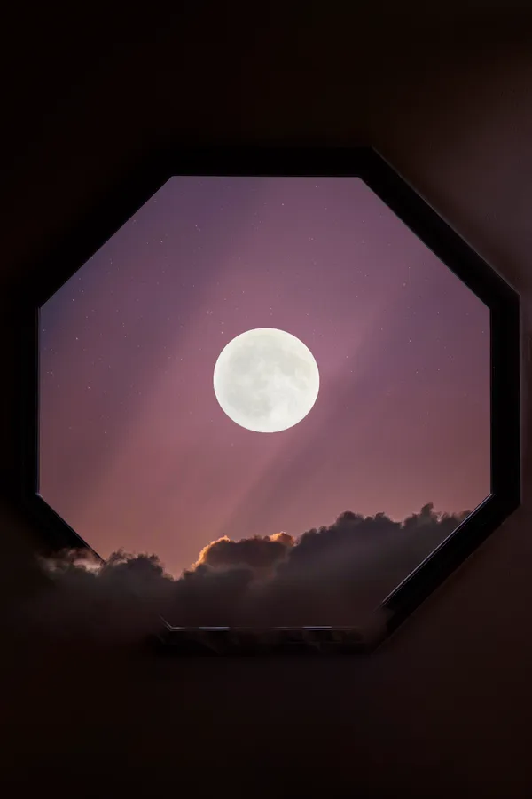 Exposition "Jour sur la Nuit" au Pavillon des Sciences
