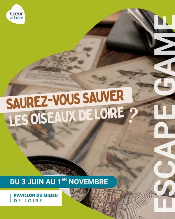 Escape game - "Saurez-vous sauver les oiseaux de Loire ?"
