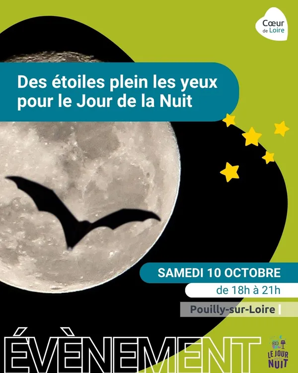 Des étoiles plein les yeux pour le Jour de la Nuit