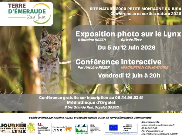 Exposition photos sur le lynx