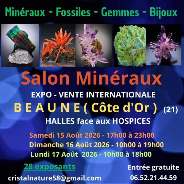 Salon Minéraux