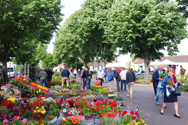 Fête des fleurs à Varennes-Vauzelles