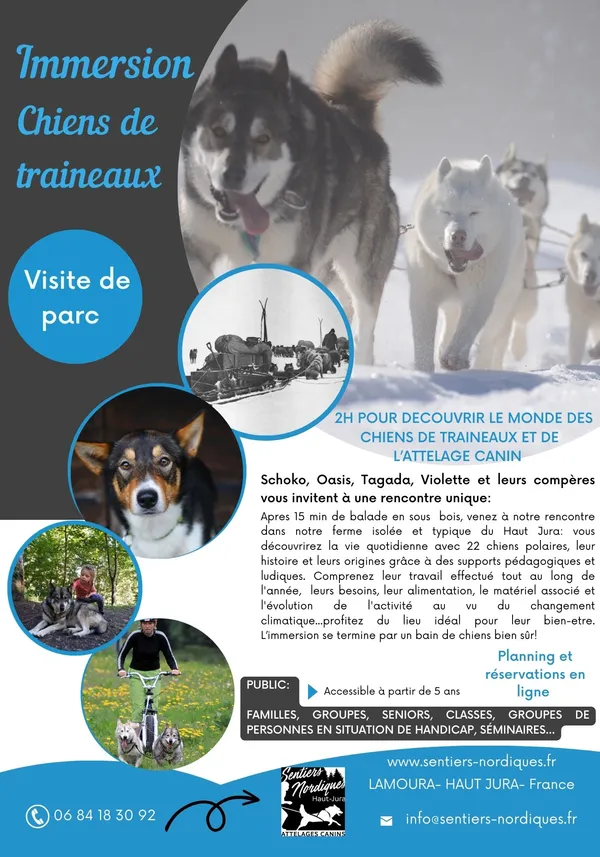 Visite de parc et immersion avec les chiens de traineaux