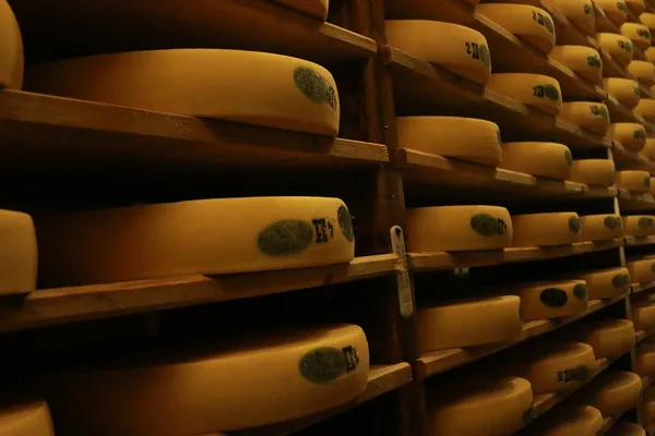 Visite fabrication du comté - La Fruitière de Frasne
