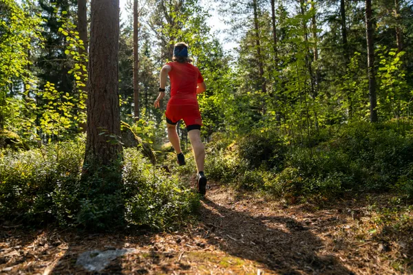 17ème édition de la course nature de la Montagne de la Roche 