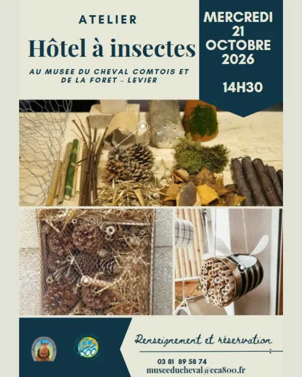 Atelier enfant - Hôtel à insectes
