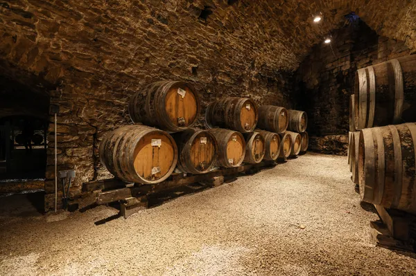 Savagnin en scène au Domaine Rolet