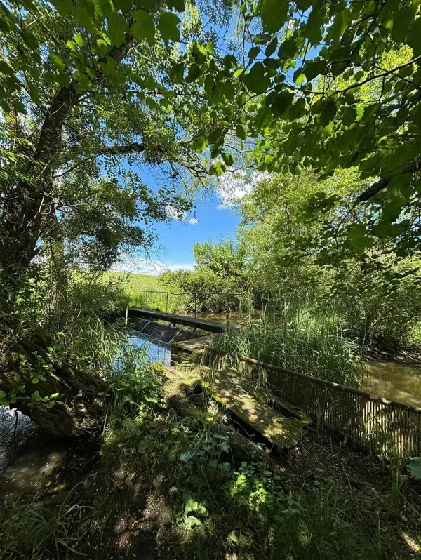 Randonnée des Etangs