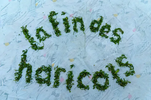 Salon des Arts Potagers