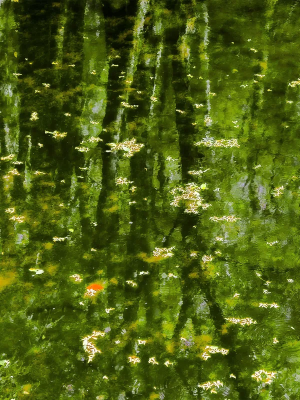 Impermanence