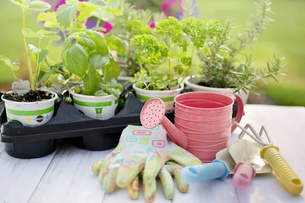 Découverte et visite du Jardin Commun