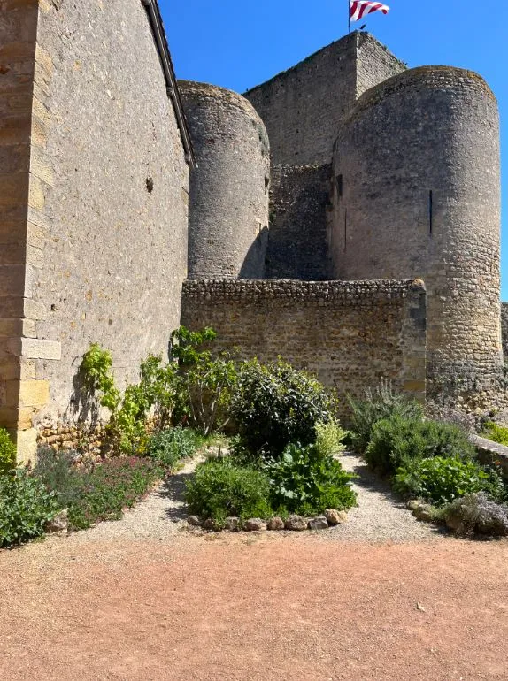 Atelier Mon herbier