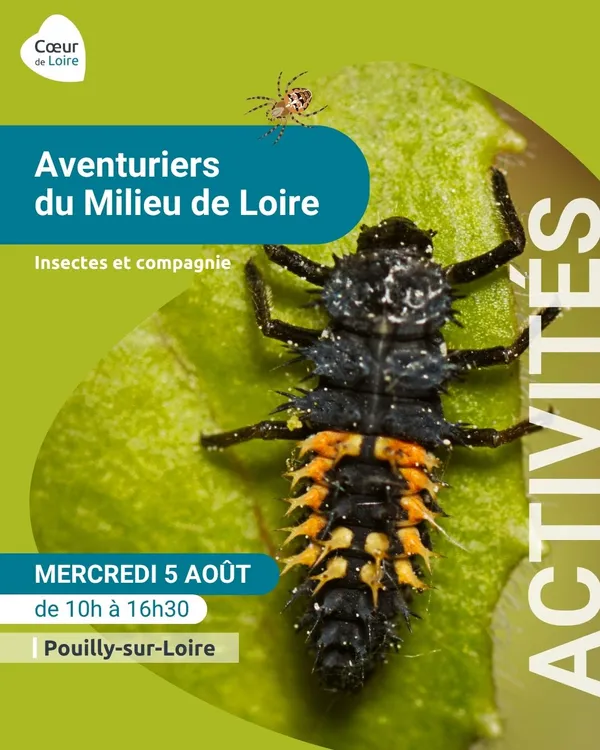 Les Aventuriers du Milieu de Loire - Journée nature pour les 6-12 ans spéciale "Insectes et compagnie"