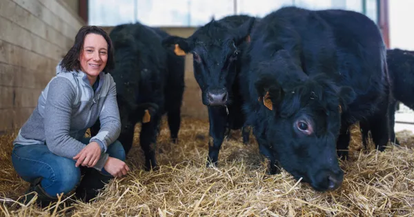 Route des Savoir-faire : Les Angus du Chaufour