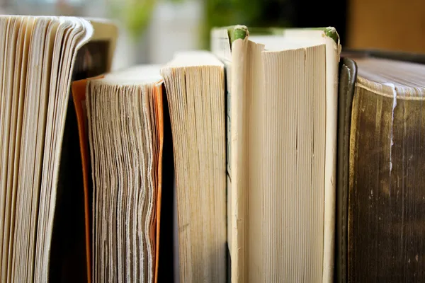Centre Culturel Simone Veil : Club Lecture