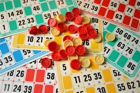 Loto - Amnesty International