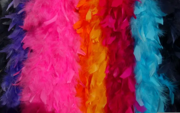 Concert : "Mon truc en plumes d'auteur.e.s"
