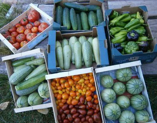 Marché de Delle