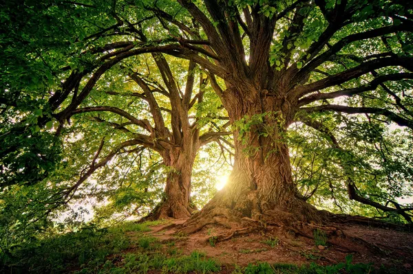 atelier art et nature