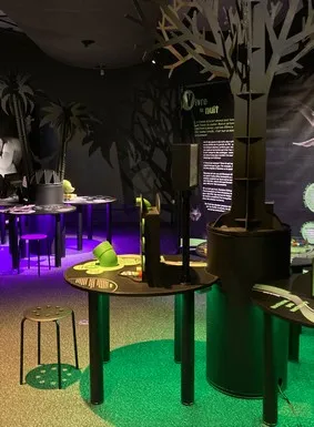 Visite nocturne "Oserez-vous ?"