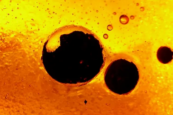 Exposition de photos de Claude NARDIN : Macro des vitraux