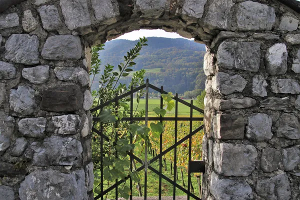Saint-Bris-le-Vineux : parcours « Entre pierres et vignes »