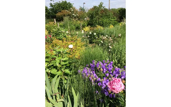 Conférence "Aménager son jardin de campagne"