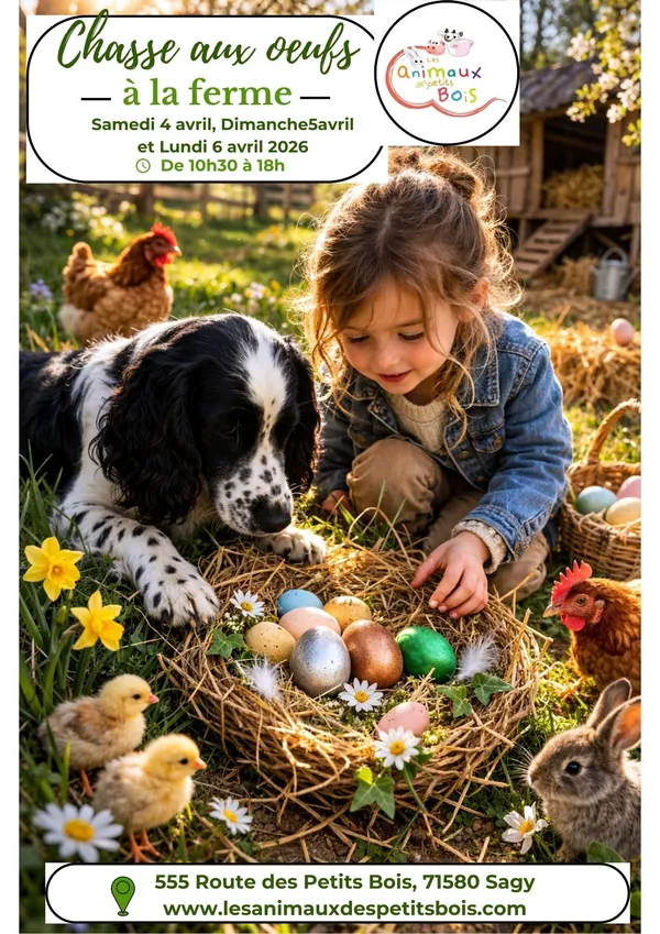 Chasse aux oeufs