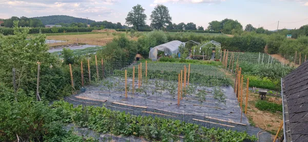 Portes Ouvertes des Tiers Lieux : Visite du potager