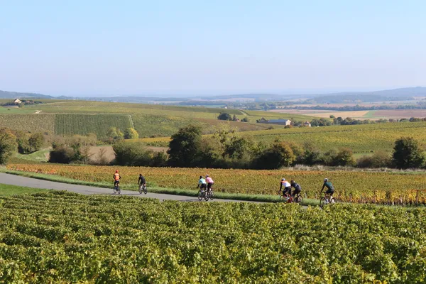 47ème Rallye des Vignobles