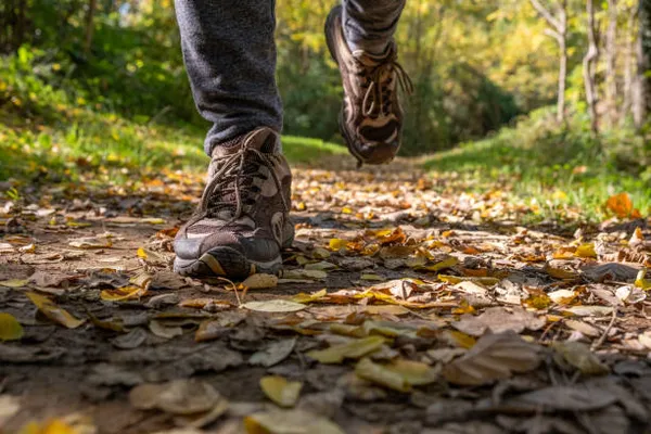 Randonnée nocturne gourmande