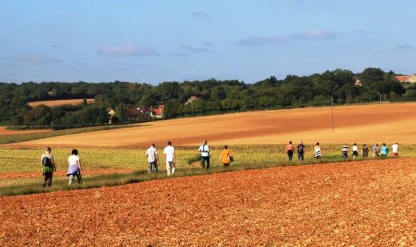 Randonnée : La bataille de Fontenoy