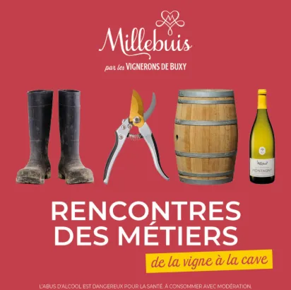 Les Rencontres des métiers de la vigne à la cave