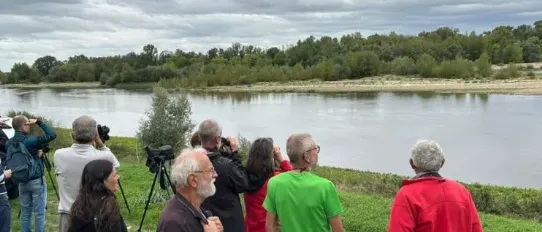 Sortie nature "Sur les traces de la faune sauvage"