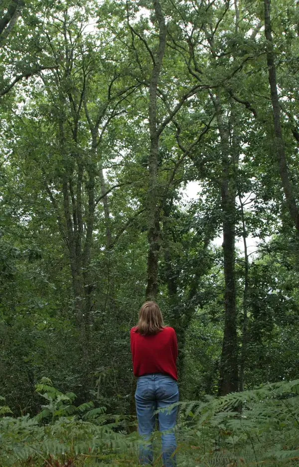 Le murmure des arbres - Les Nuits des Forêts au Parc national de forêts