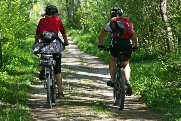 Sortie VTT