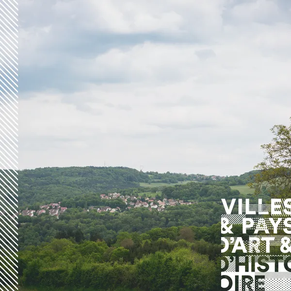 Sur les traces des mycologues d'Hérimoncourt