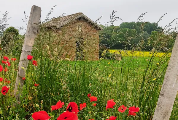 Visite commentée du Domaine de Champgrenon