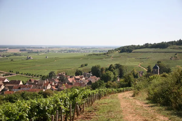 Journée Thématique : "Au cœur des climats de Beaune"