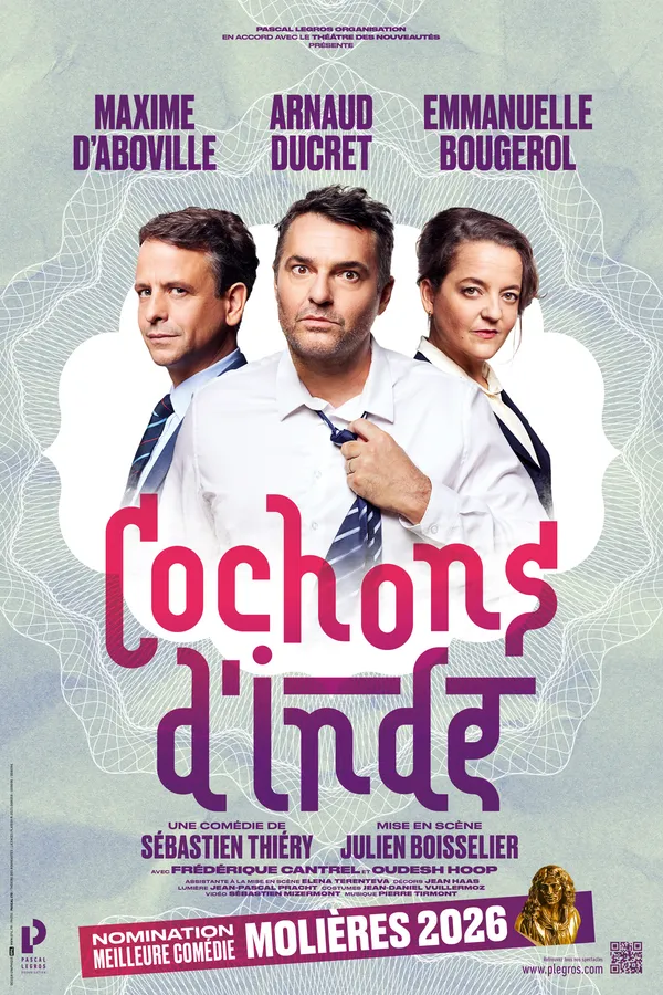 Cochon d'Inde