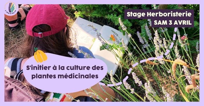 Stage 1 jour : S'initier à la culture des plantes aromatiques et médicinales