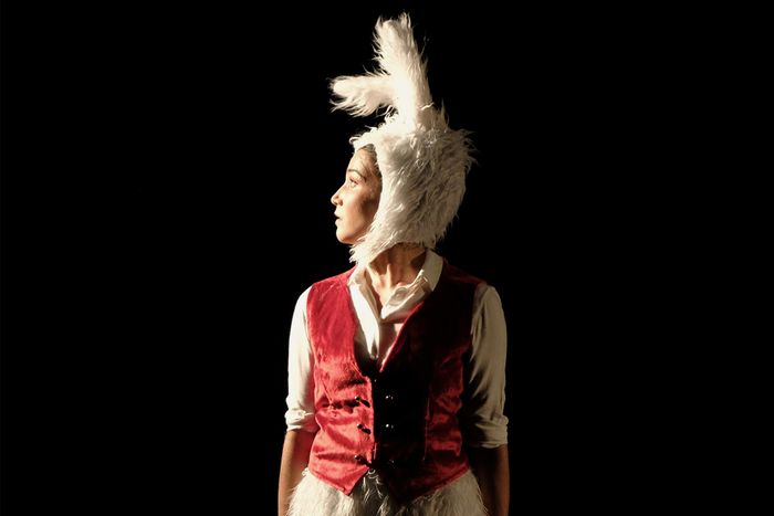 Alice au pays des merveilles