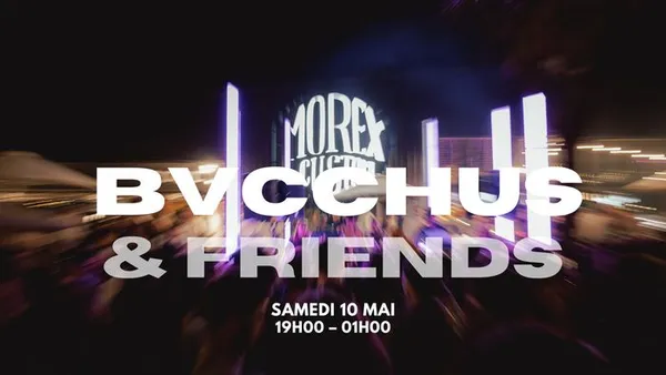 BVCCHUS // NIK ANDERSSON // MOREX CUSTOM HOUSE